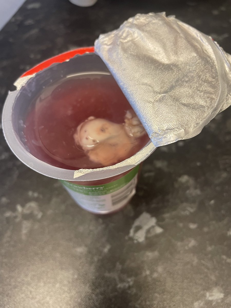 kylie6488's tweet photo. Not happy to receive mouldy jelly in my delivery today @IcelandFoods https://t.co/KVmXe1vu1j
