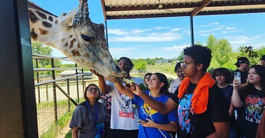 LnescHouston tweet media