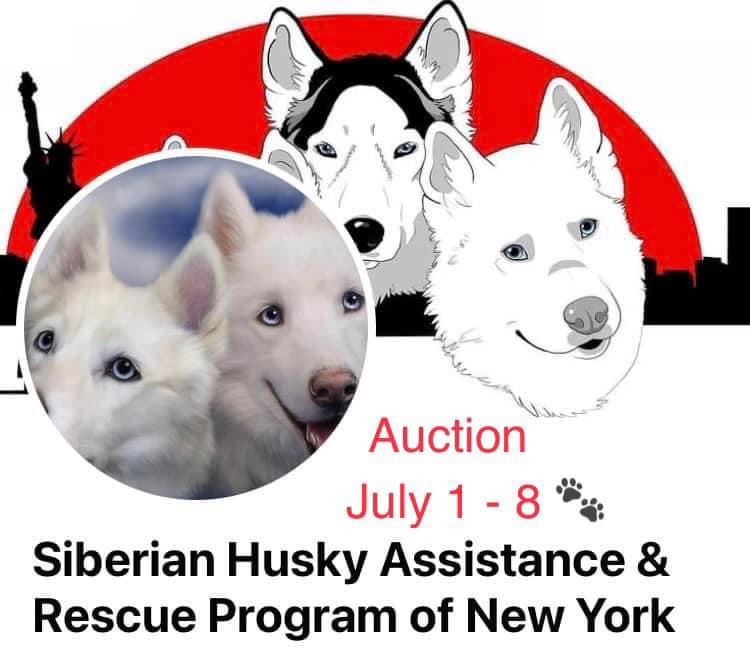 ToniToddHB's tweet photo. Last chance to bid and help SHARP of NY! Bidding ends at 9pm EST https://t.co/rBBBxj4Cvo https://t.co/5i5IVgQTfp