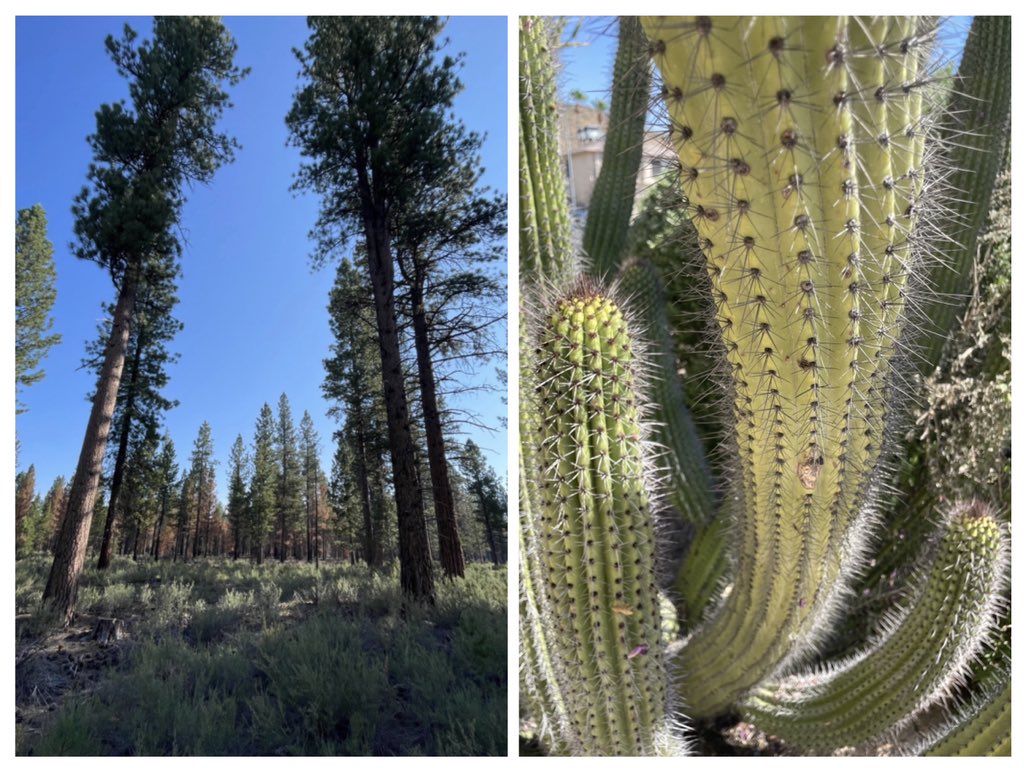 Nature