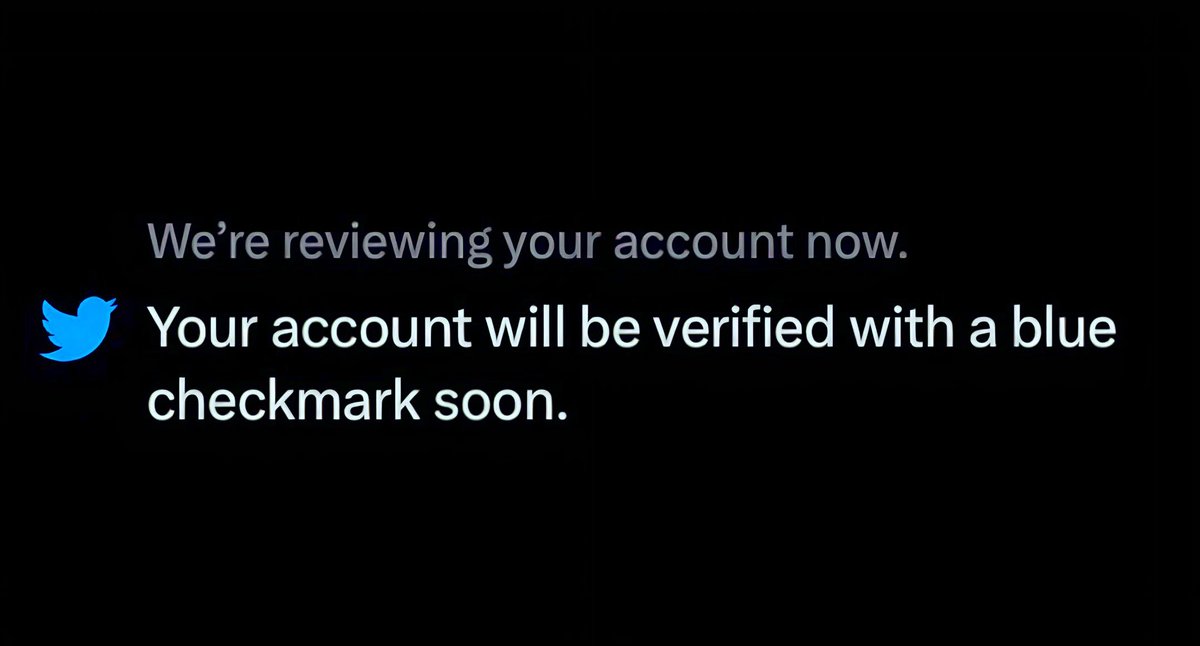 FU*K IT, Twitter Blue to everyone that likes &amp; replies ✅