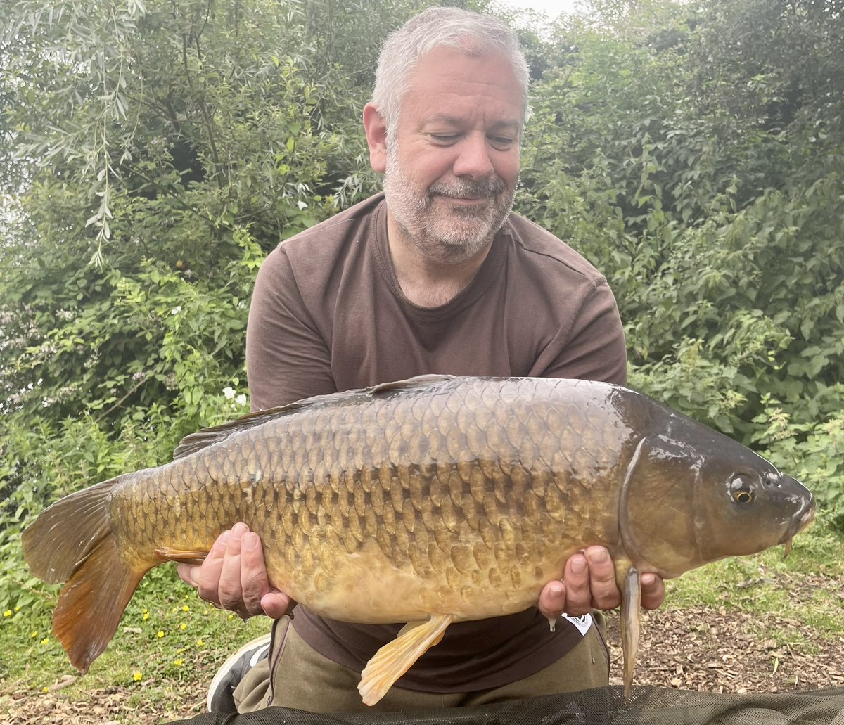 Paul Wood tweet media