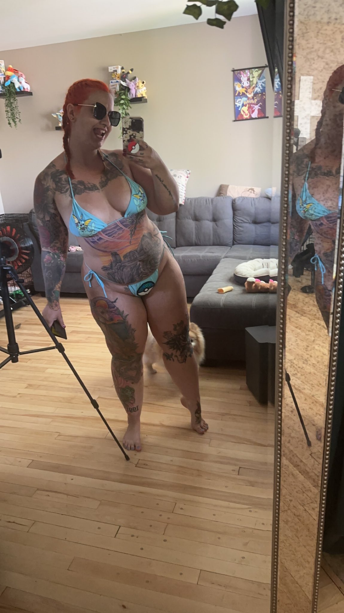 bark on Twitter: "smash, next question https://t.co/FBXyHSQriV" / Twitter