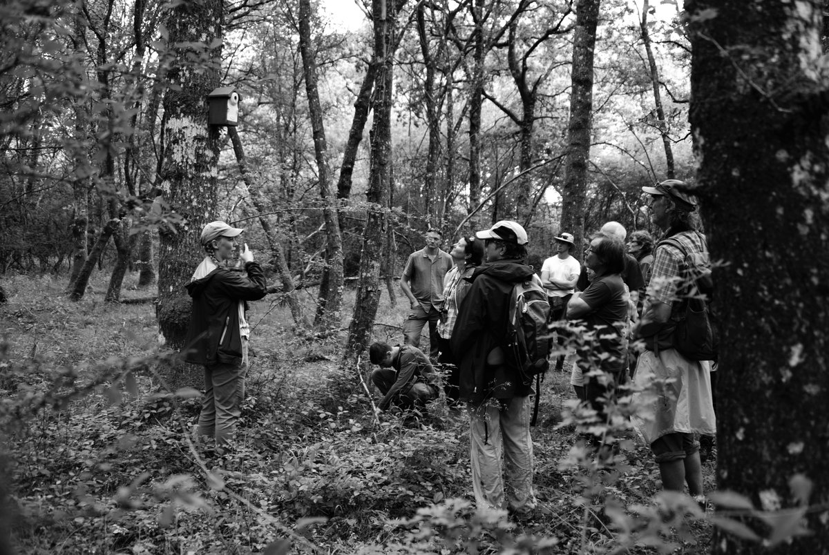 EuCAN Residential and AGM 2023. Ryewater Nursery and Alners Gorse, Dorset. Moths, pizza, camping, wildflowers, birds and more all wrapped up in good conversation. Thank you to all who came and contributed. eucan.org.uk @EuCAN_CIC @birdingfox @_fredfranklin3