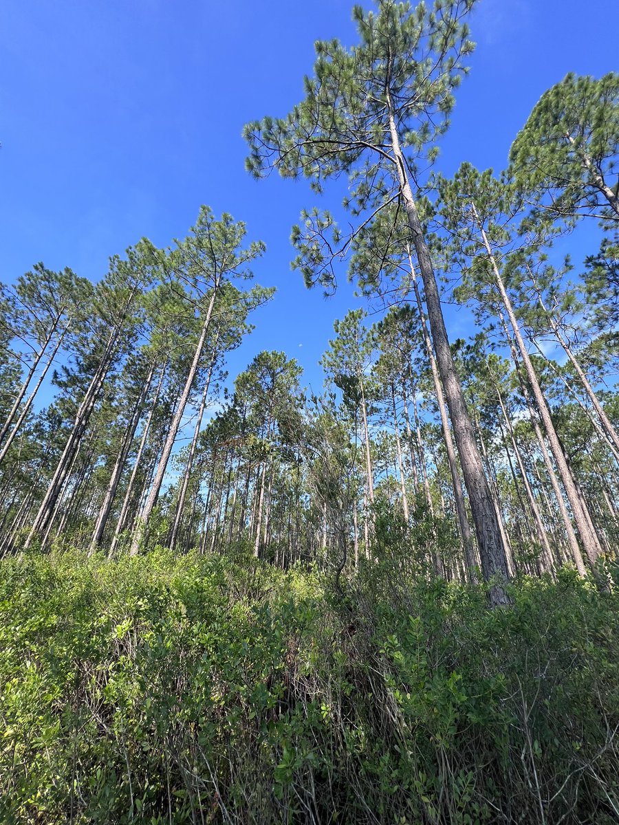 ash kerber tweet media