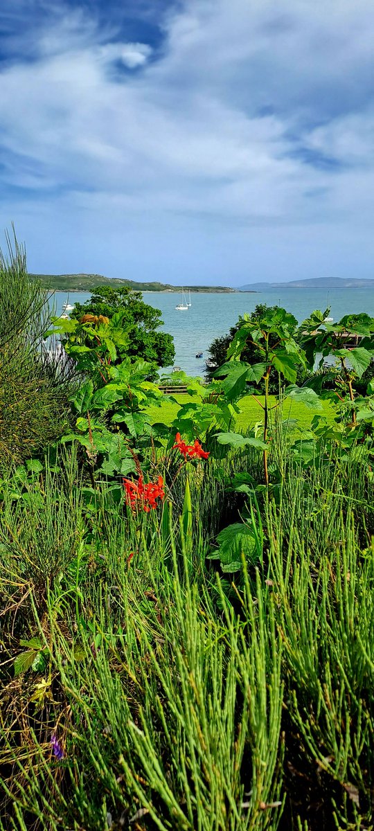 Eilish Sutton tweet media