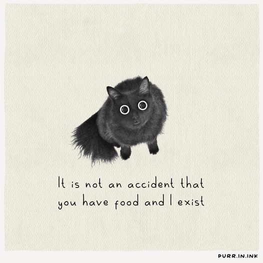 jkr_on_the_web's tweet photo. #Caturday, the essence 👇 https://t.co/kwE9nndh4i
