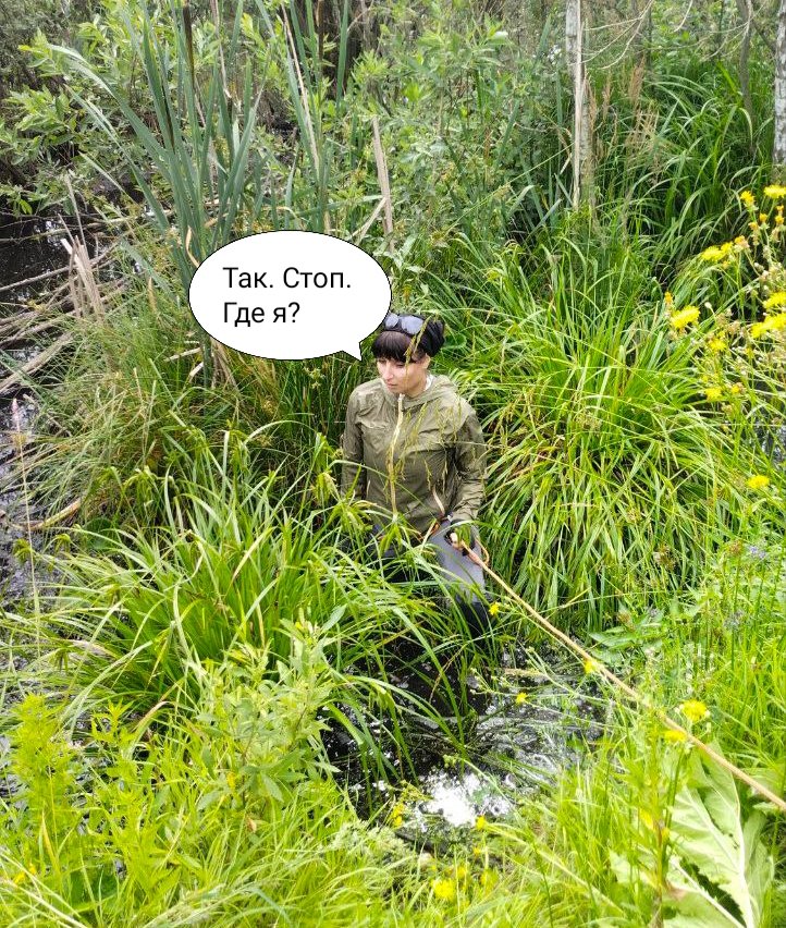 Марья tweet media