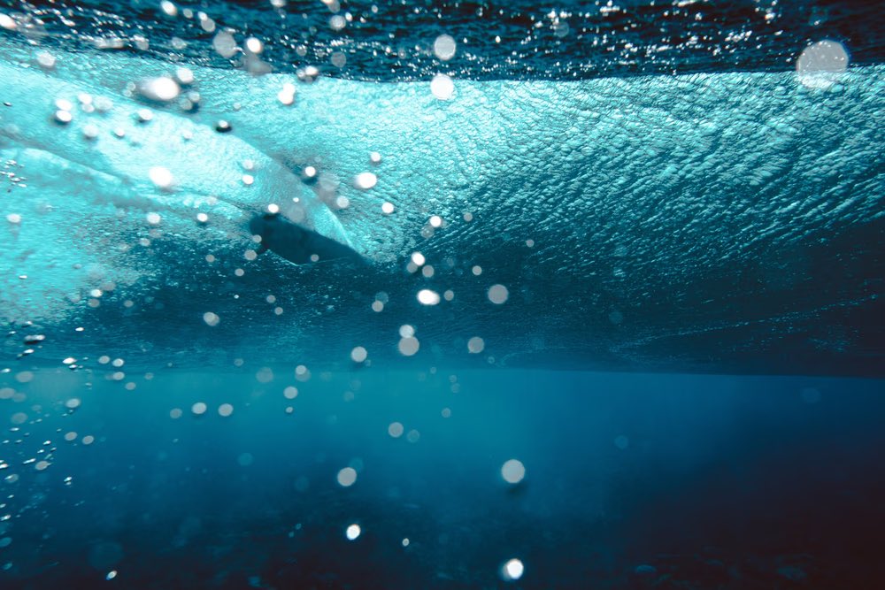 Ⓜ️ICHÆL🥤🌐 • 📷’er📍42°N | Emergence Edition x 20 tweet media