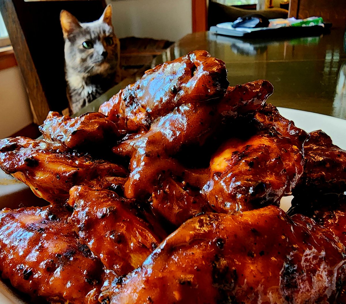 freakdam's tweet photo. I spoil me! Milly is impressed!
#caturday 
#wingy
#spoiled https://t.co/9eaPsvvFzA