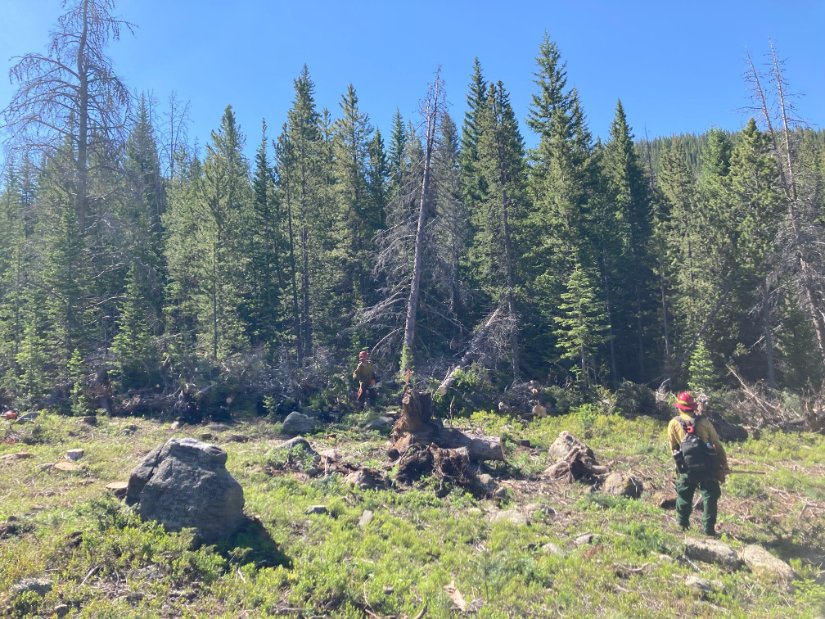 usfsarp's tweet photo. #devilsthumbfire update- Fire containment increased to 30% yesterday. Fire size 95 acres. There is one Type II crew, two Hotshot crews, one engine, and two helicopters working the fire. Today firefighters will focus on monitoring and completing handline already in place. https://t.co/zymXh62CBa