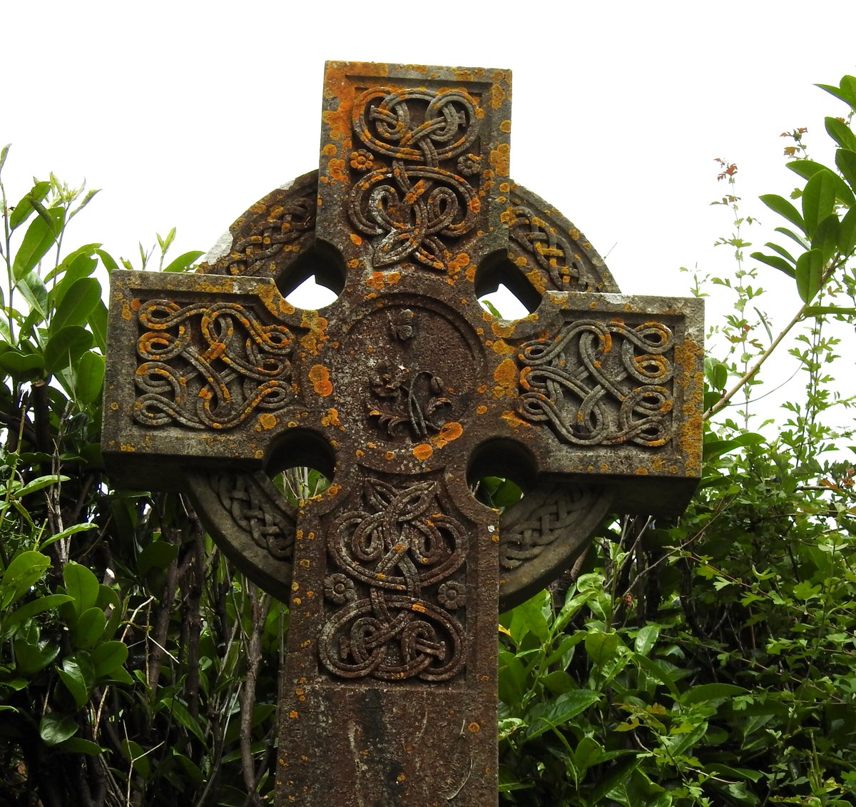 fotc2017's tweet photo. Lovely image of a butterfly leaving the flower (the soul leaving the body...) at the Old Cemetery, with ornate surround/crucifix #Teignmouth #cemetery #symbolism #lichens https://t.co/okI6V9BZyn