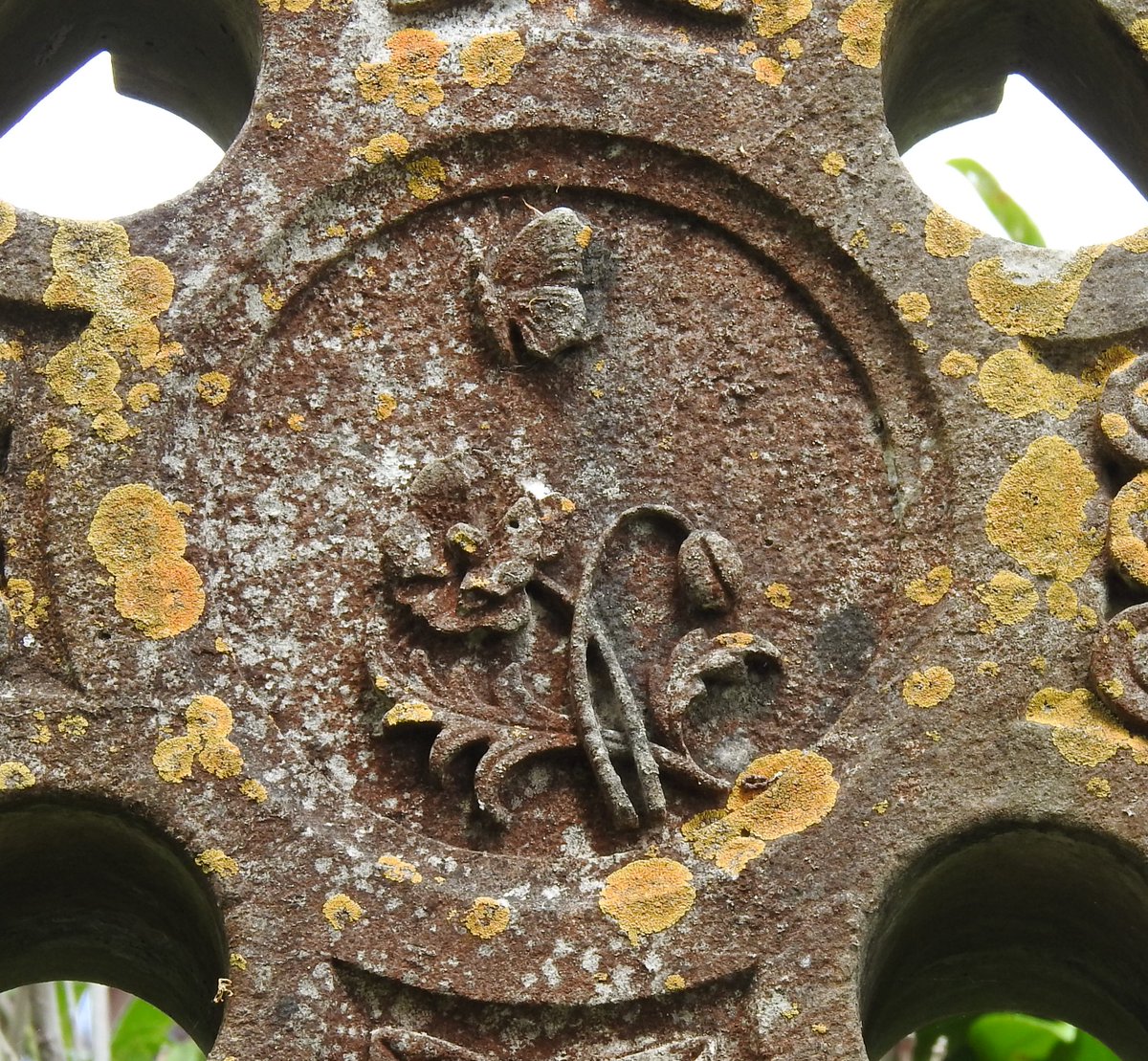 fotc2017's tweet photo. Lovely image of a butterfly leaving the flower (the soul leaving the body...) at the Old Cemetery, with ornate surround/crucifix #Teignmouth #cemetery #symbolism #lichens https://t.co/okI6V9BZyn