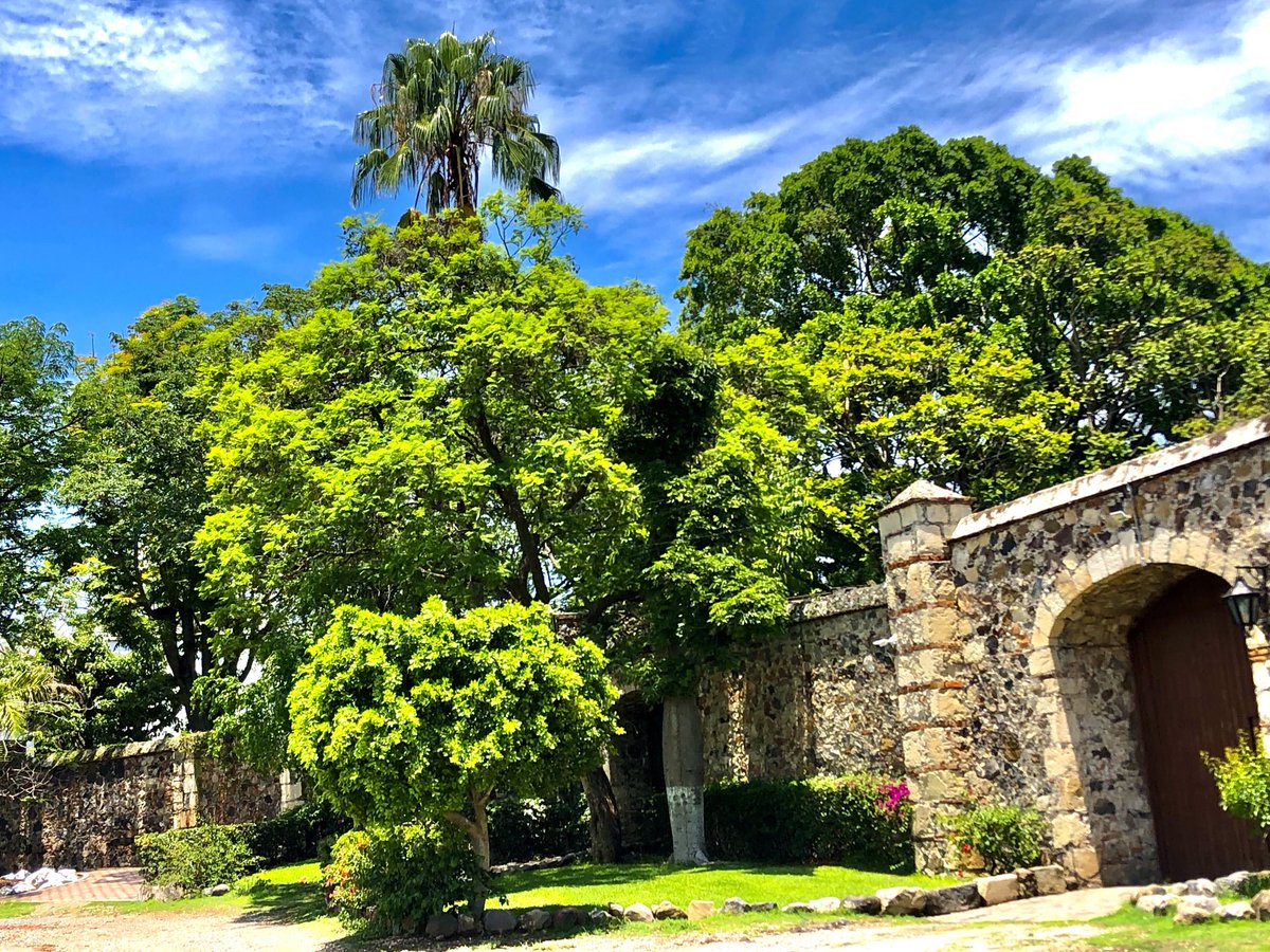 Por qué si la naturaleza nos muestra cómo en los contrastes está la belleza y la armonía  nos cuesta tanto contrastar nuestros pensamientos y dialogar con quienes piensan diferente. Disfrutando #Morelos