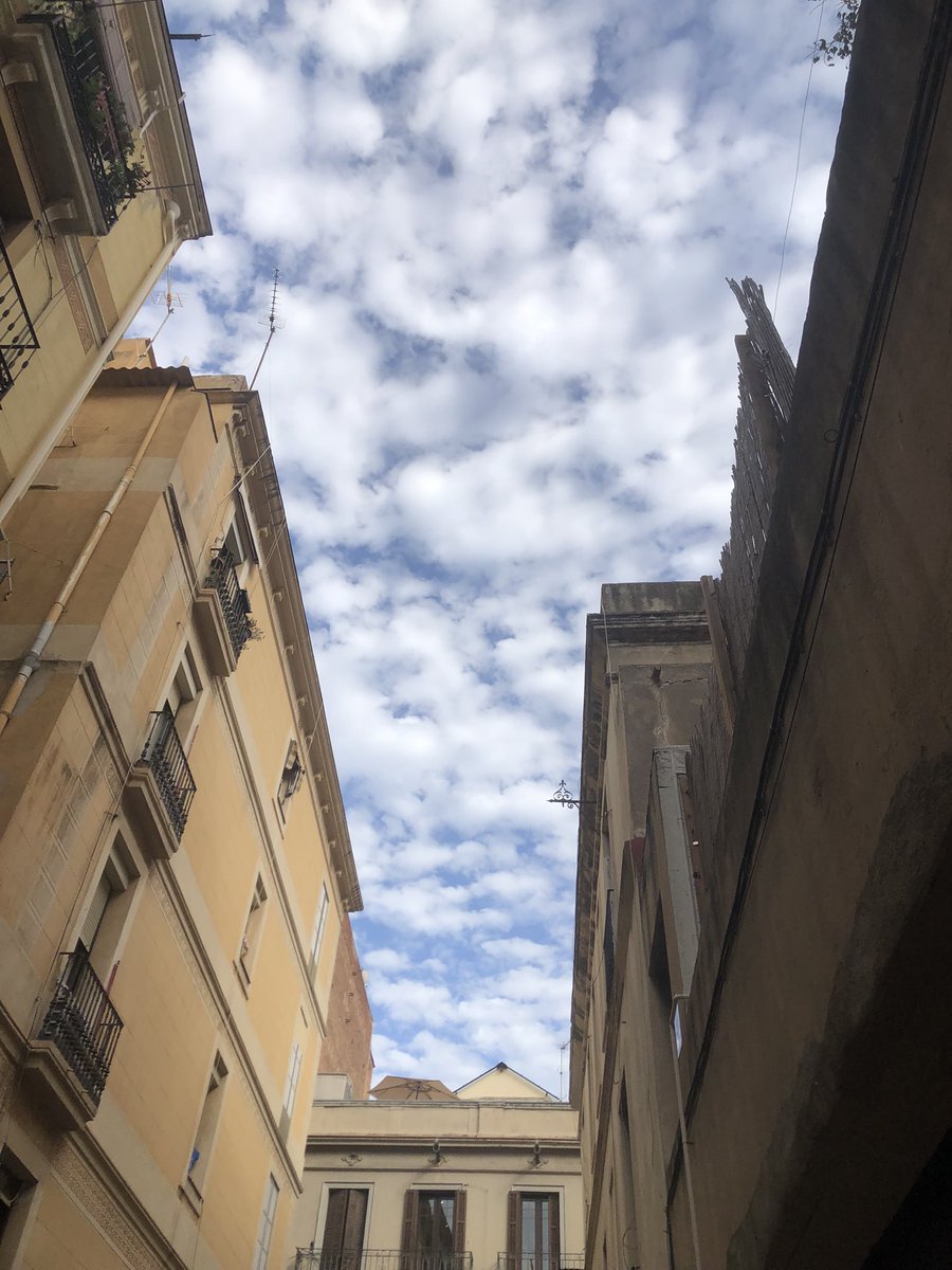 cosesdeCalaMar's tweet photo. Tardes caluroses de juliol. Guarniment, cels i festa davant la @violetadegracia
#guarnit
#fm2023
#calor
#istiu
#festa https://t.co/NqWURrg5T6