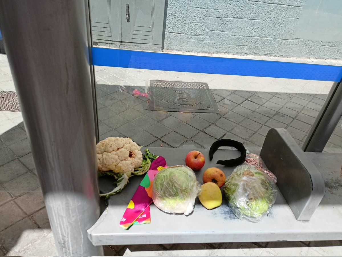 Necesito saber qué historia hay detrás de este bodegón urbano. ¿Qué ha ocurrido para que acabe en una marquesina objetos tan variados como una funda de juguete sexual y una coliflor, un objeto no identificado de gel y purpurina y manzanas de diferente clase?