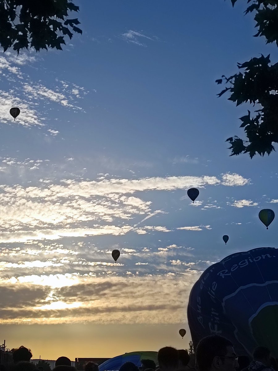 rossy barranco tweet media