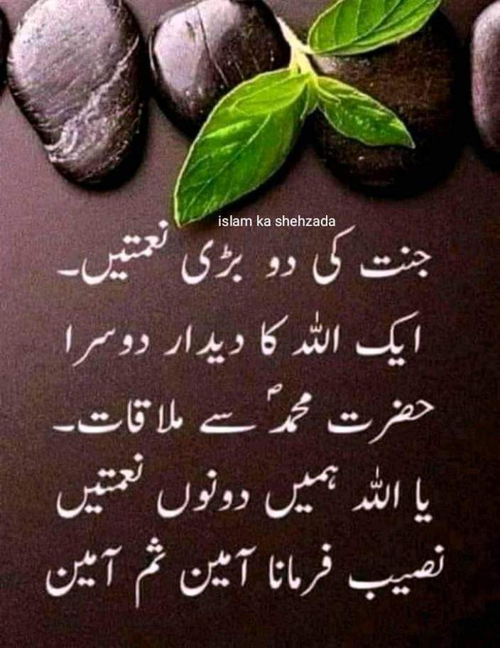 السلام عليكم ورحمتہ اللہ وبرکاتہ🌷 صبح بخیر🌷 ۔ اللہ تعالی ہم سب کو وہ صبر عطا کرے جسکے بعد کبھی حوصلہ نہ ٹوٹے___وہ رحمت عطا کرے جو ہمیشہ جاری رہے اور اپنی خاص رحمت سے دنیا اورآخرت میں عزت عطافرماۓ۔ *آمین یارب العالمین🤲