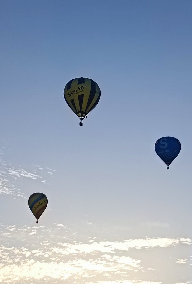 rossy barranco tweet media