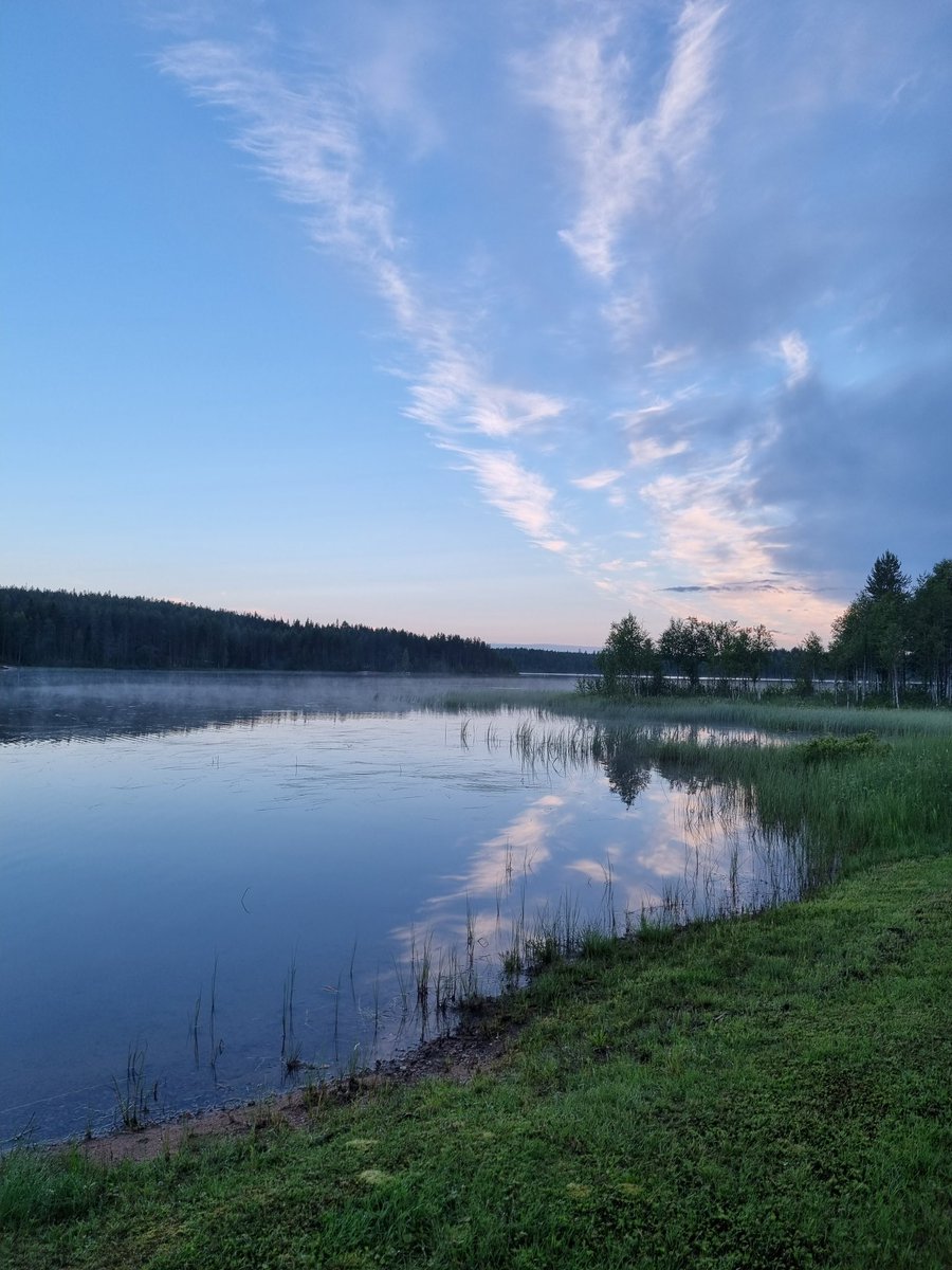 JuntunenPirjo's tweet photo. Tyyni järvi huokuu usvaa. Myöhäisen illan lämpötila Kainuussa +11 astetta. Joutsenperhe lipui kahden poikasen kera järvenpintaa kuvaajan ulottumattomiin. #kainuu #heinäkuu #usvaa #luonto #ylesää https://t.co/voWVOUWzOM