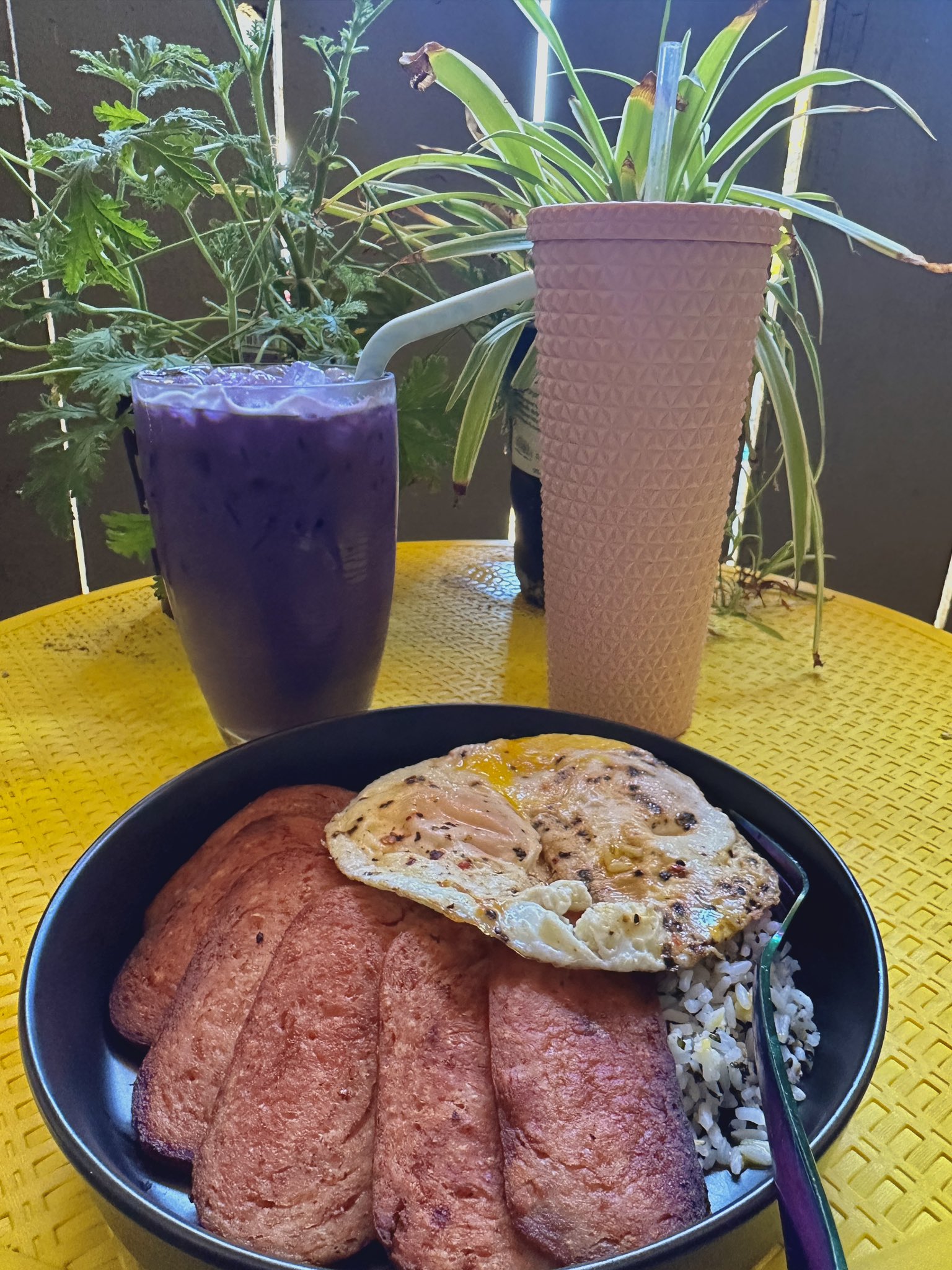 Delilah Brooke On Twitter Spam Rice And Eggs With An Iced Ube Oat delilah-brooke-on-twitter-spam-rice-and-eggs-with-an-iced-ube-oat
