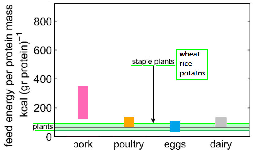 HandsOffMyMeat's tweet photo. Poultry, eggs, & dairy are efficient, with a similar protein/feed input as staple plant crops wheat, rice, & potatoes
#climatechange #eatlessforearth #handsoffmymeat #eggs #ClimateScam #Dairy #chicken #MeatlessMonday #meatlesstuesday https://t.co/oW2maolRSS