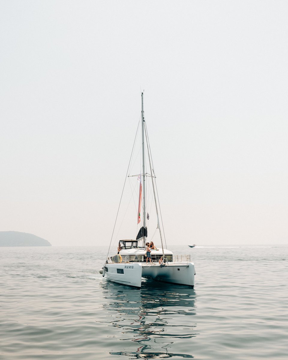 Darius Haberstock tweet media