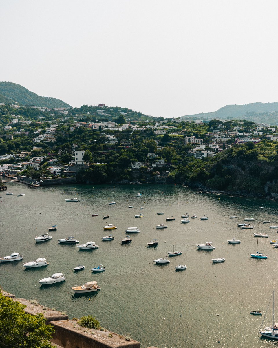 Darius Haberstock tweet media