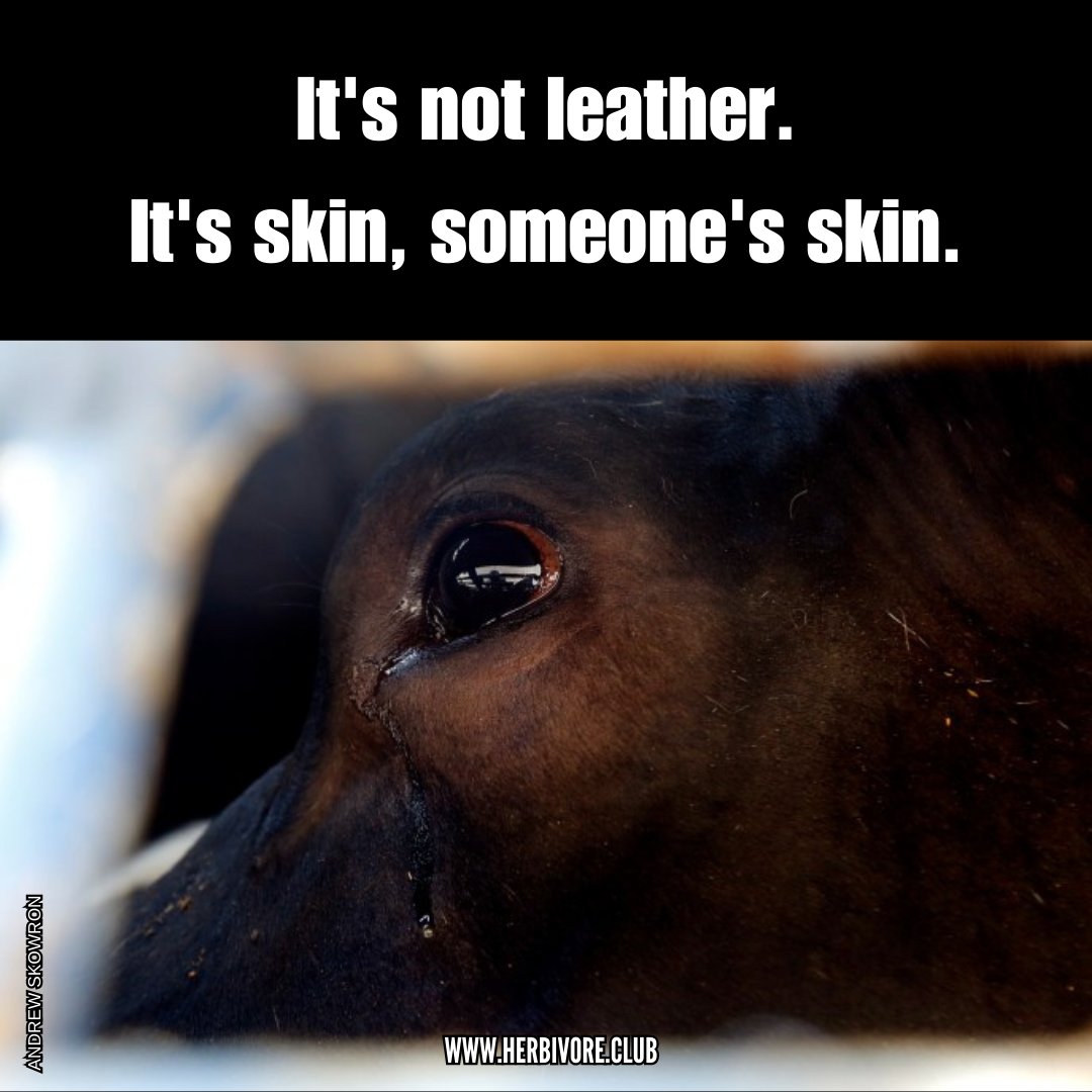 Herbiⓥore on Twitter ""Leather" is literally someone's skin. Raising