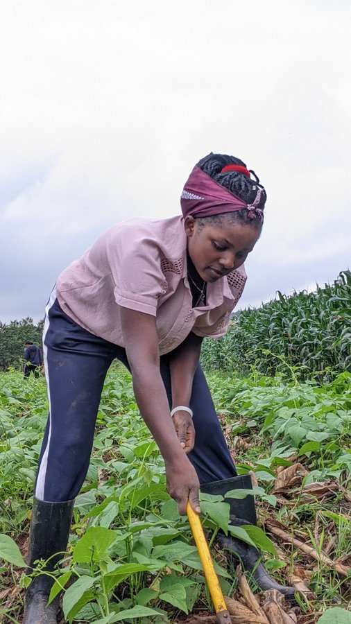 The beauty of farming lies in the simplicity of life's essentials: sun, soil, and hard work. #farming #conservationagriculture