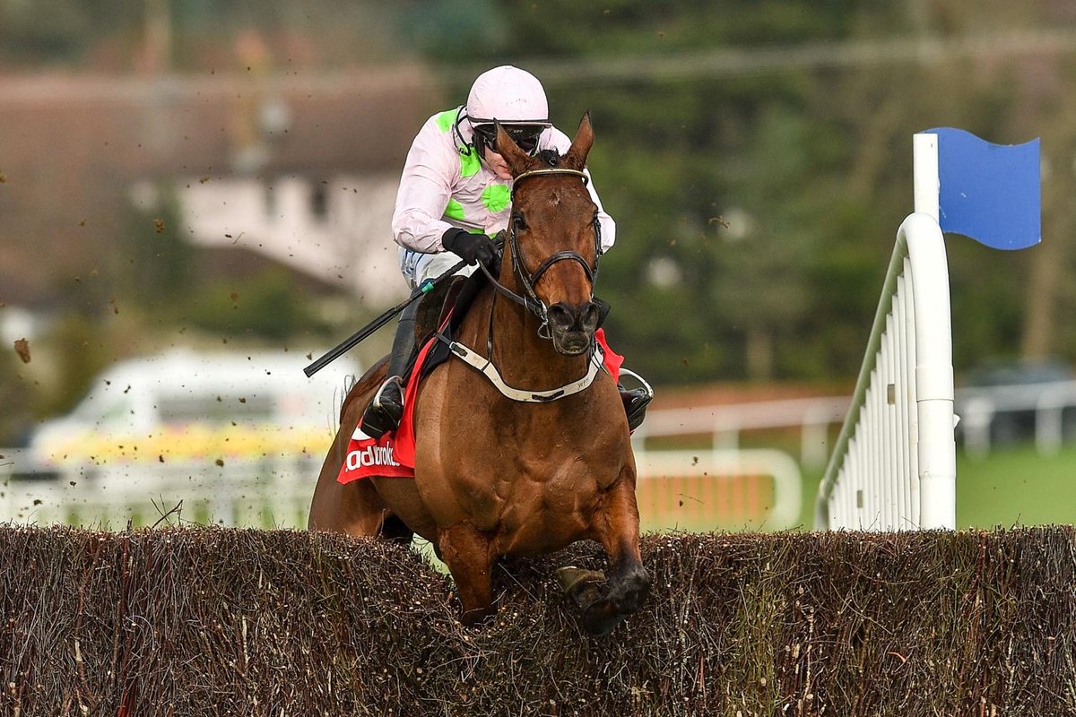 Road To Cheltenham tweet media