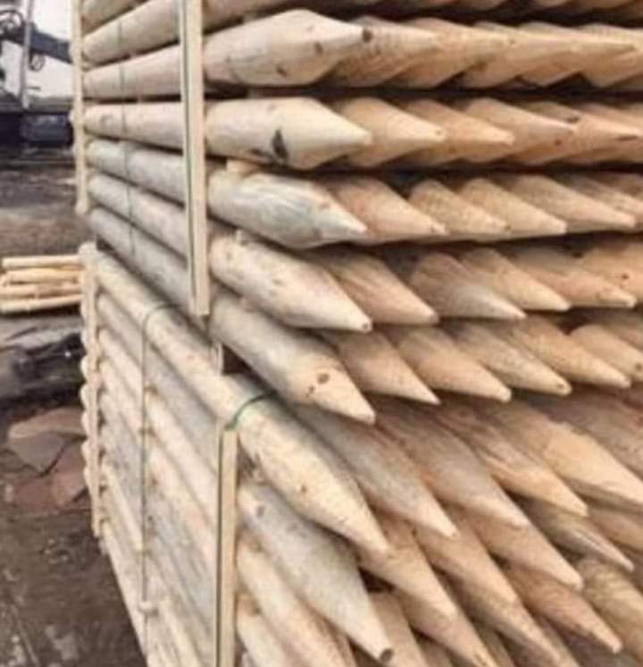 Memura 22 bin tl 
Asgari ücret 11.400 tl 
Emekli 7500 tl 
%25 zam verirken vicdanınızın  yüzde kaçını kullandınız yazıklar olsun sizleri ALLAHA havale ediyorum