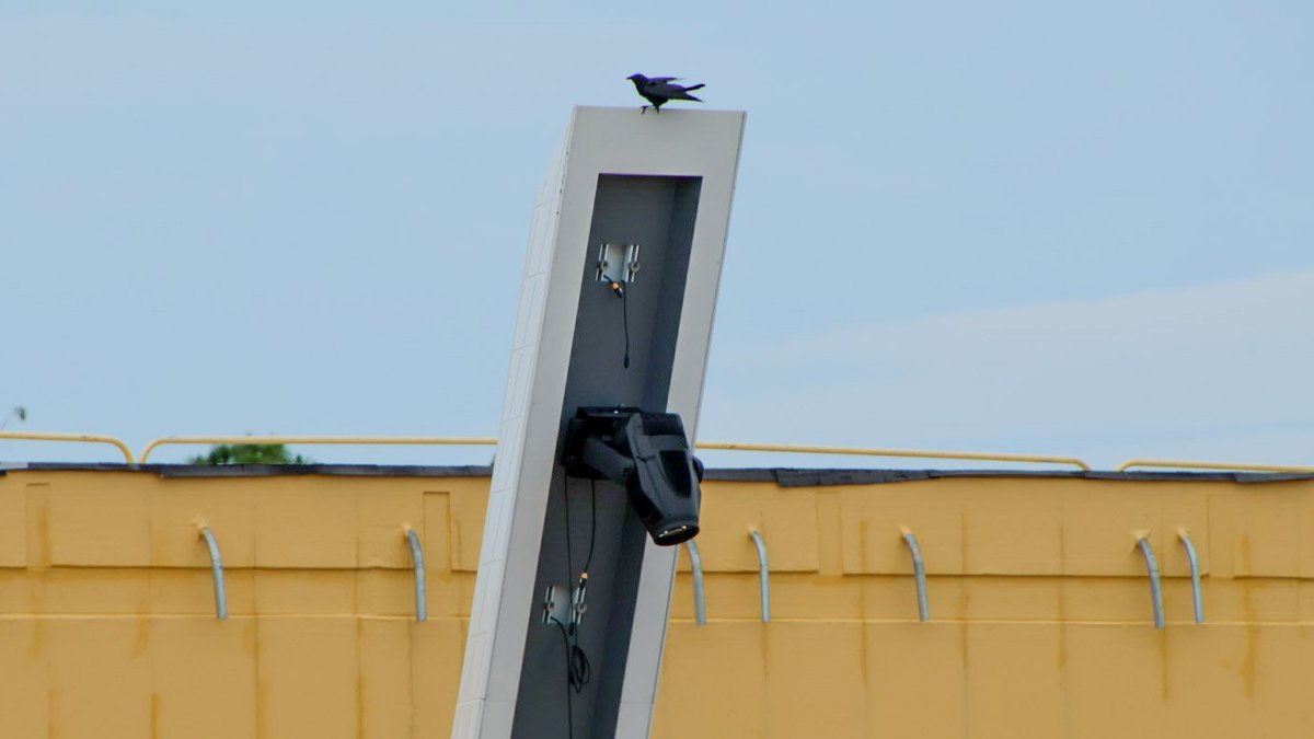 bioreconstruct tweet media