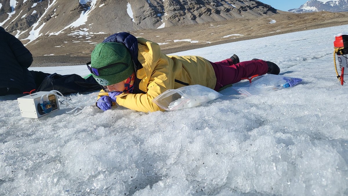 #Svalbard fieldwork at @ArcticStationUK is well underway for @JazzedUpScience, @em_lm_b and Maddy. Hopefully some interesting results to put towards the @LeverhulmeTrust iDAPT project and Emily and Maddy's PhDs. And lovely weather as well!