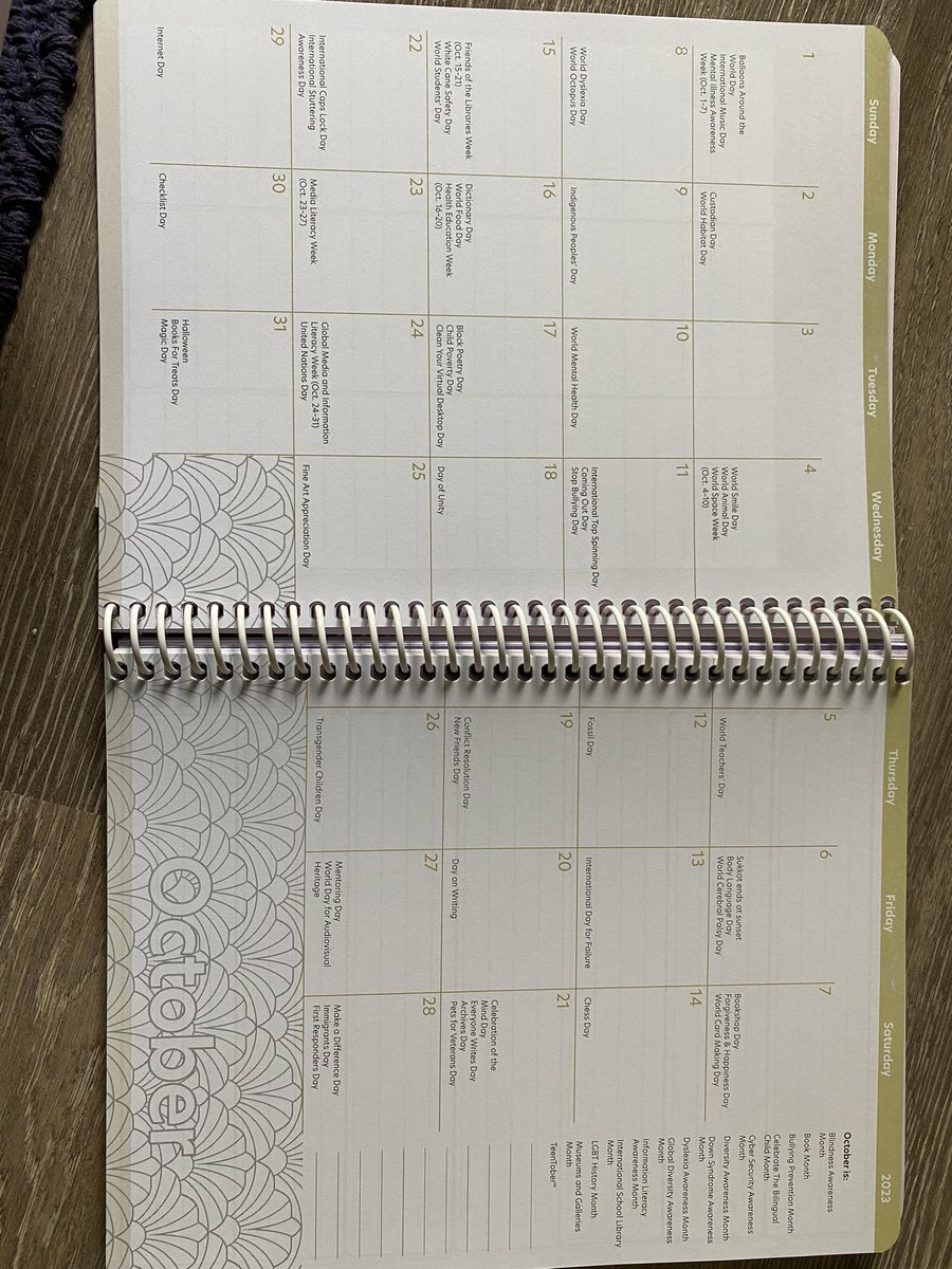 The @demco planner is here!!!! Personally designed for school librarians by @lieberrian. It includes everything you need! I’m so honored to be a part of this. #Library #libraries #schoollibrarian #mediaspecialist