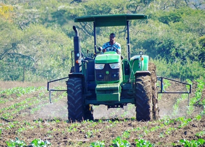 startfarmingnow's tweet photo. 3/10 📝 Plan your garden layout: Group plants with similar needs together. Consider companion planting for space efficiency and pest deterrence. #GardenLayout

4/10 🌱 Start with quality seeds or seedlings: Get high-quality seeds from reputable suppliers or start plants from seed https://t.co/AlTSMd8JG8