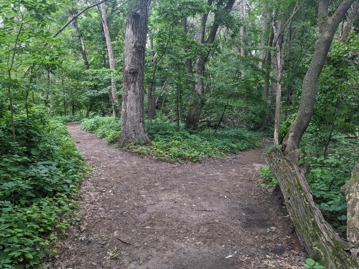 Which direction are you choosing