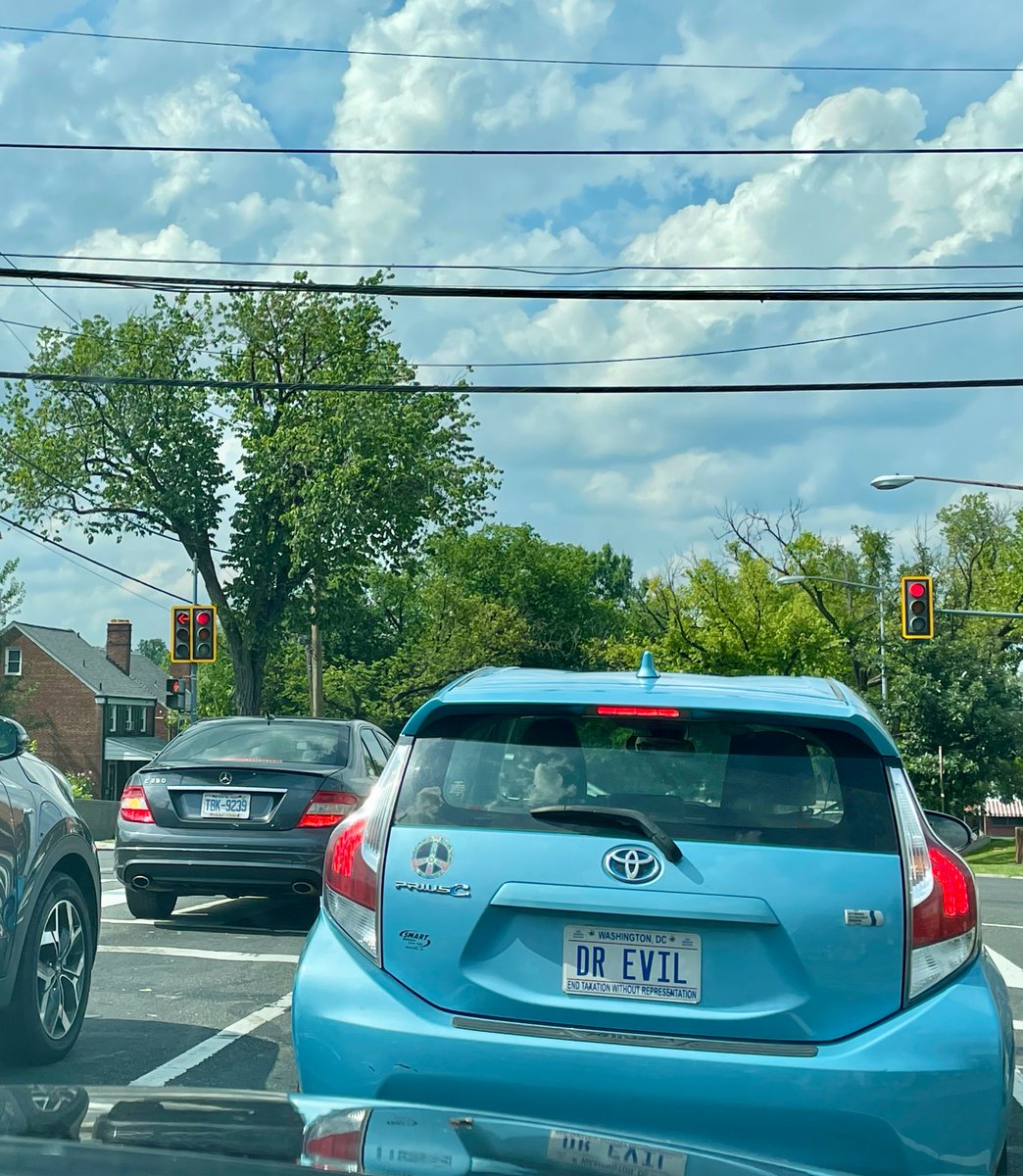 Steisi Mileiva tweet media