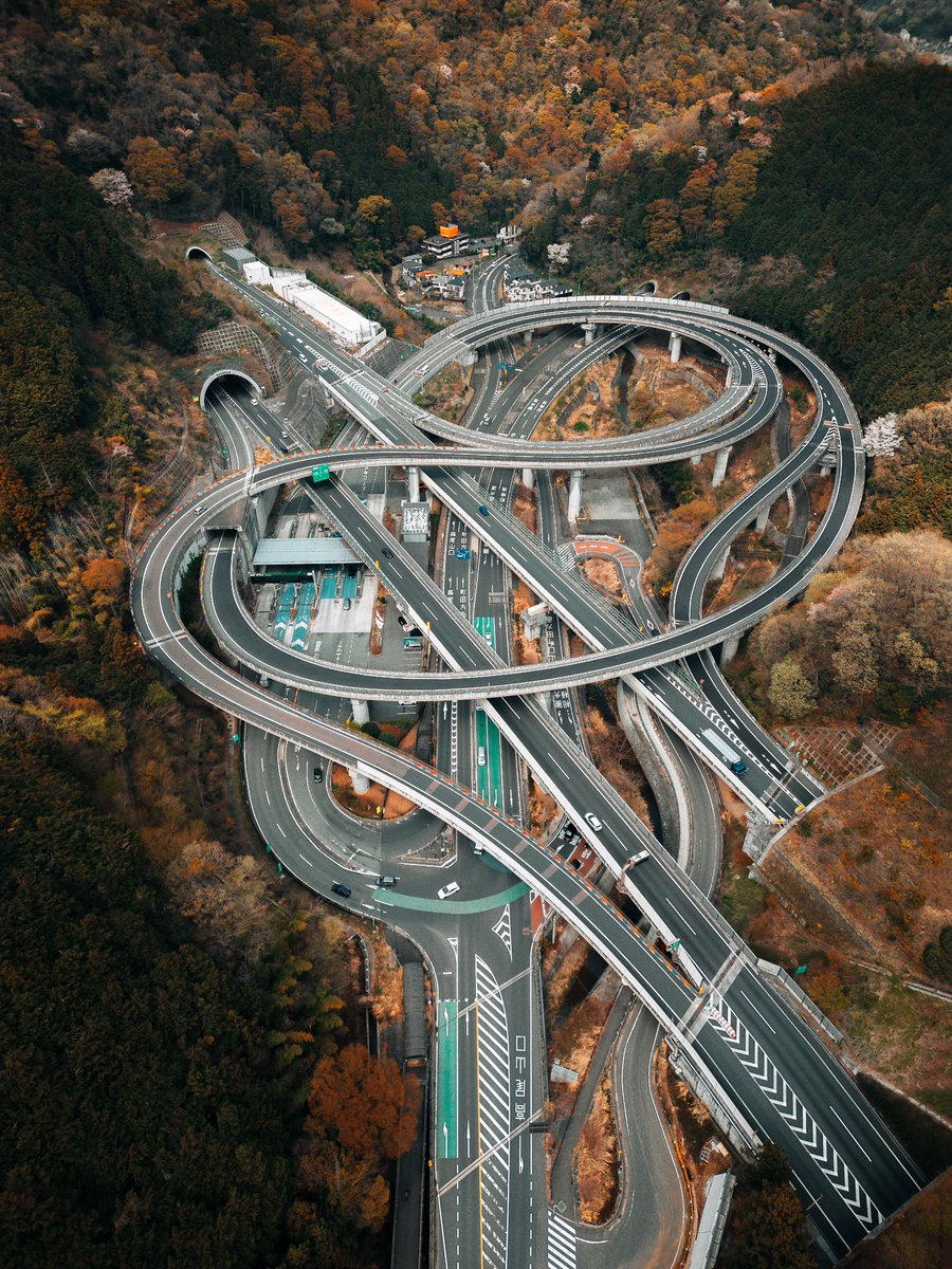 Organised chaos 🚗