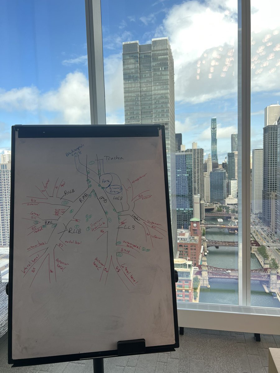 tusharbajajMD's tweet image. Preparing for that bronchoscopy! #pulmccm #MedTwitter @MayoClinic