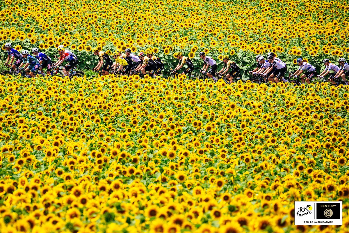 Pic of the Day by <a href="/century21fr/">Century 21 France</a> 

#TDF2023 

📸 A.S.O. / Jered &amp; Ashley Gruber