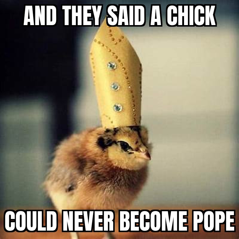 And they said a chick could never become pope.
#meme #joke #haha #lmao #memes #cute #chick #baby