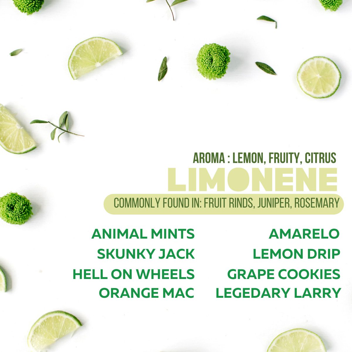 Pure_Ohio_W's tweet image. Find Limonene and Linalool in some of your favorite Pure Ohio Wellness strains

#linalool #pureohiowellness #london #limonene #dayton #terps