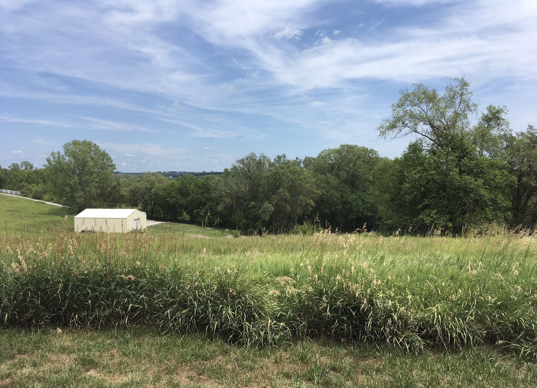 Neysun Mahboubi on Twitter "Is this heaven? No, it’s https//t.co