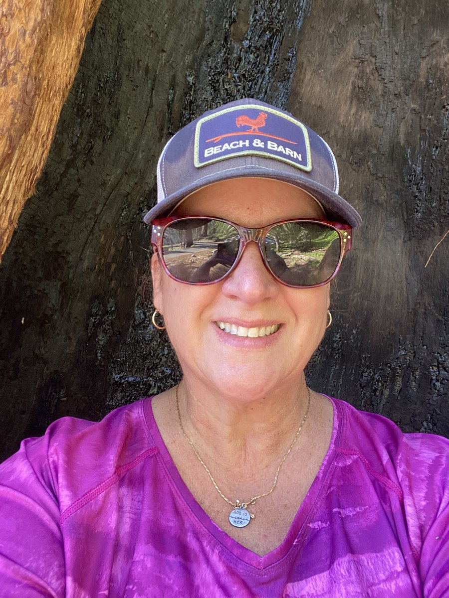 cgivens's tweet photo. Living life. Amongst the giant trees and cool waters. #seki #npgeek https://t.co/5D36LIu066