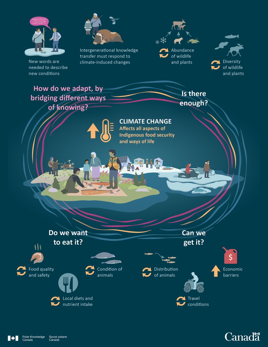 Explore how climate change impacts Indigenous food security and ways of life. It's a wake-up call to protect their vital traditions and ancestral knowledge. Let's stand in solidarity and take action for a resilient future. 🌍🌱 Infographic via @POLARCanada