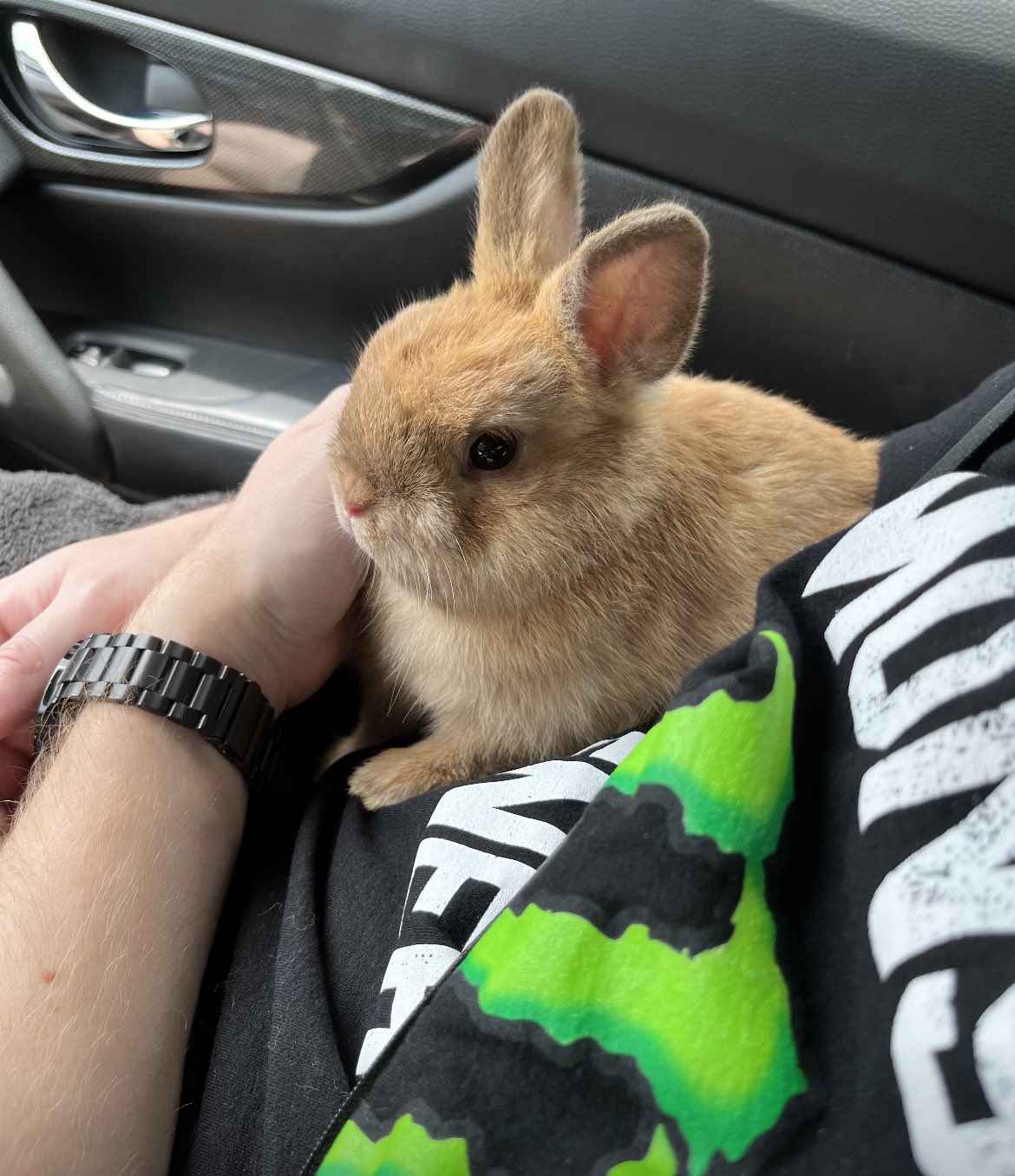 dea 🐇🧮 on Twitter: 