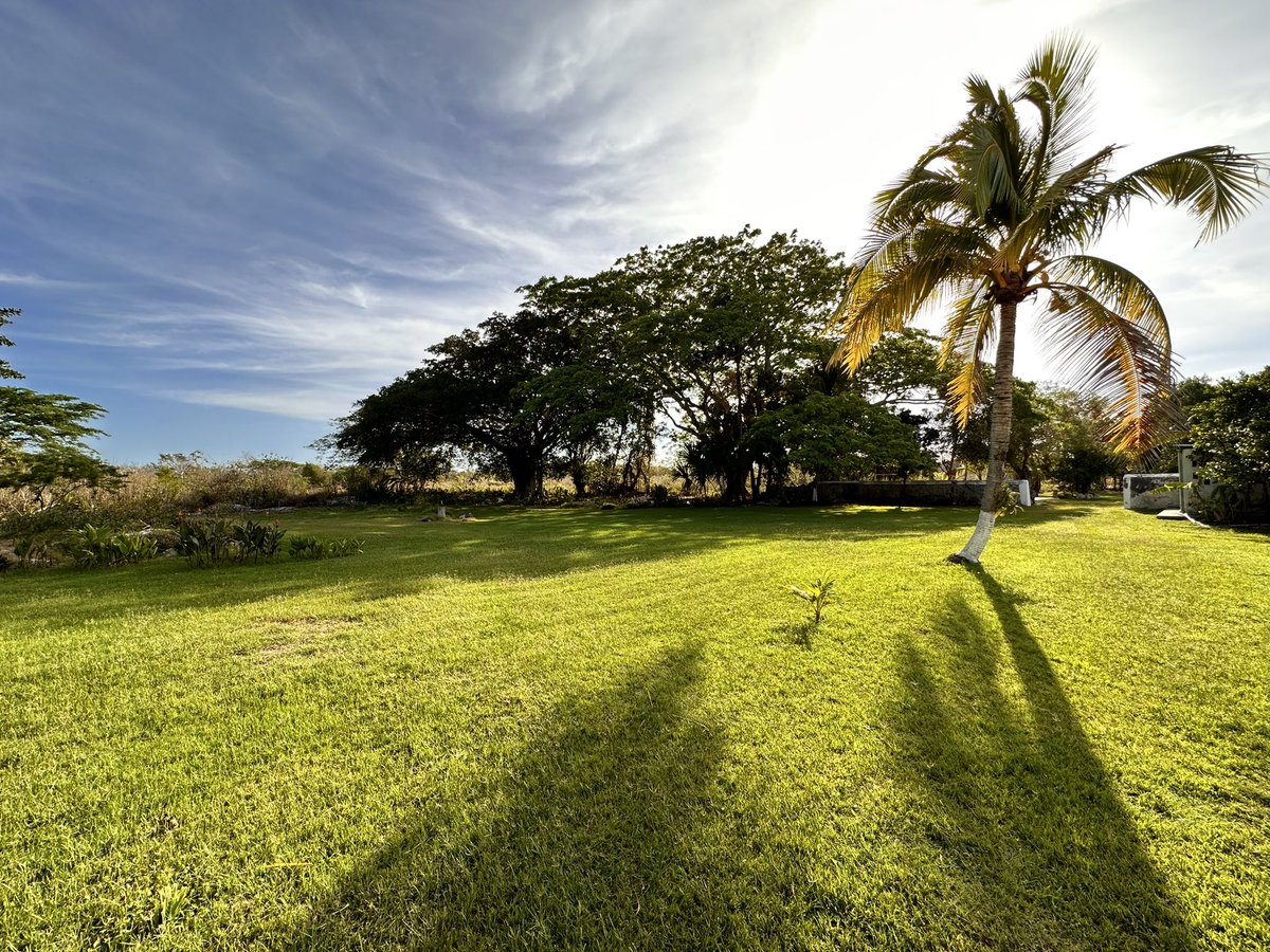 Balam_Dzonot's tweet photo. @YucatanTurismo https://t.co/JZj8HBNGvm