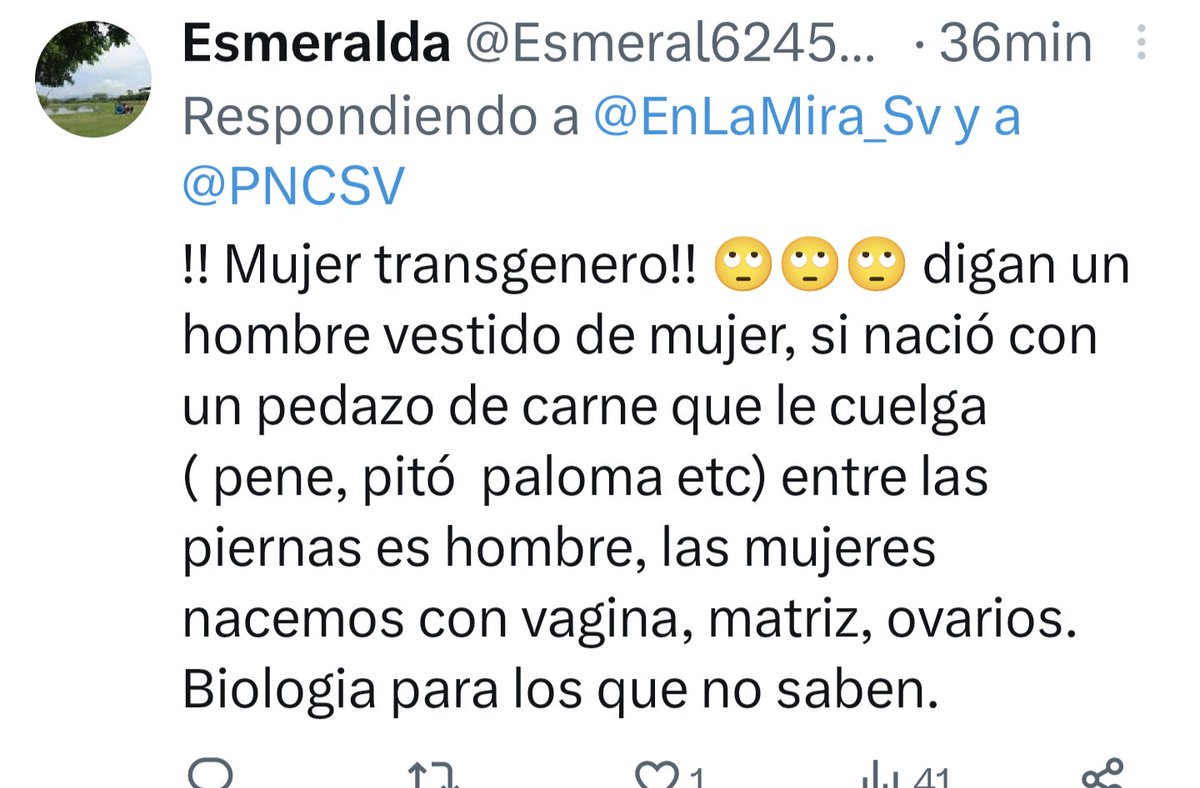 silvanaferrer95's tweet photo. En el video donde agreden a la chica trans estos son los comentarios que se leen.

Esto es lo verdaderamente podrido de la sociedad, este en odio con el que viven hacia los demás, un asco de país. https://t.co/O9wPSzi8ic