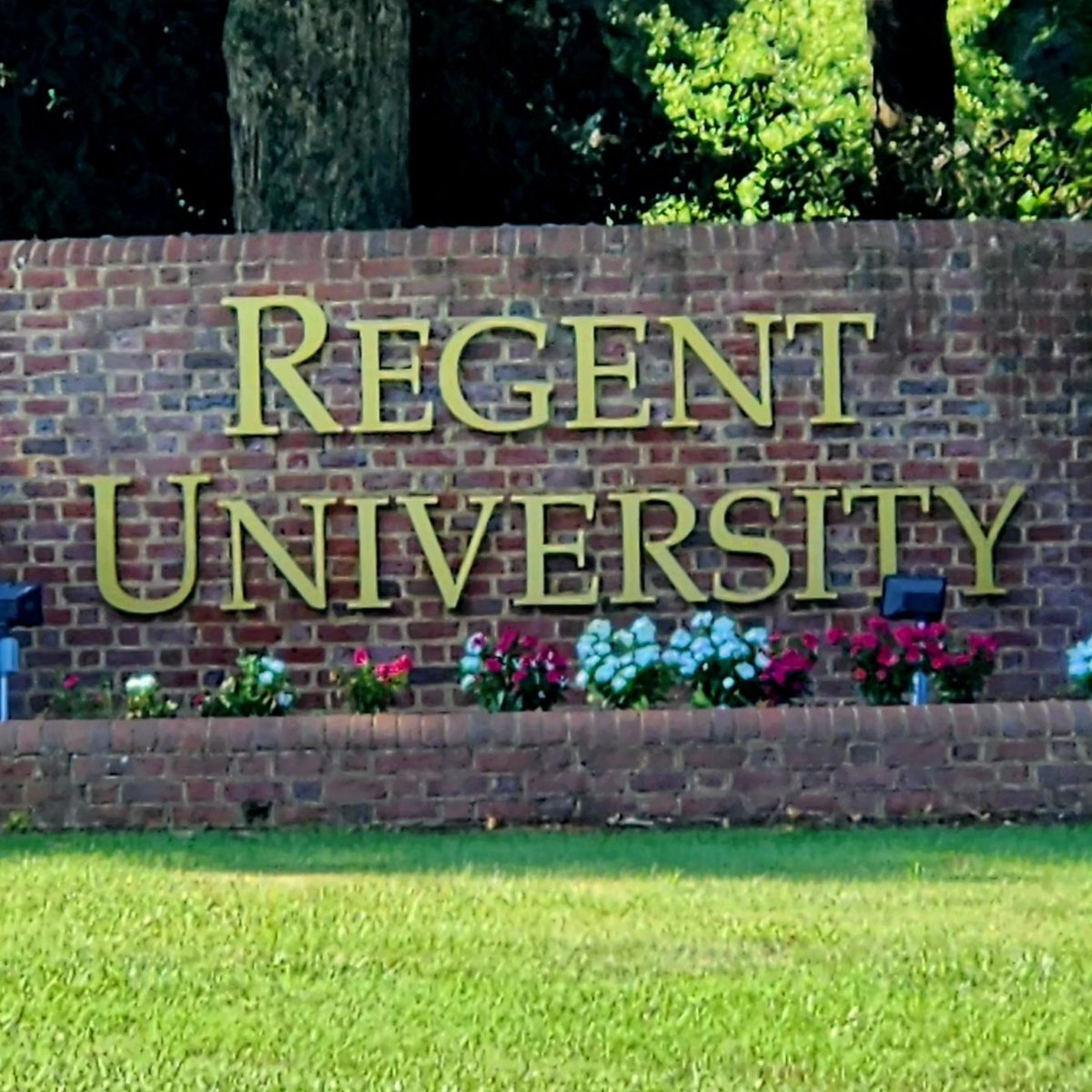 MaggiSonja's tweet photo. In awe of this next step.... 

@RegentSOE https://t.co/mlpqQmO3jP